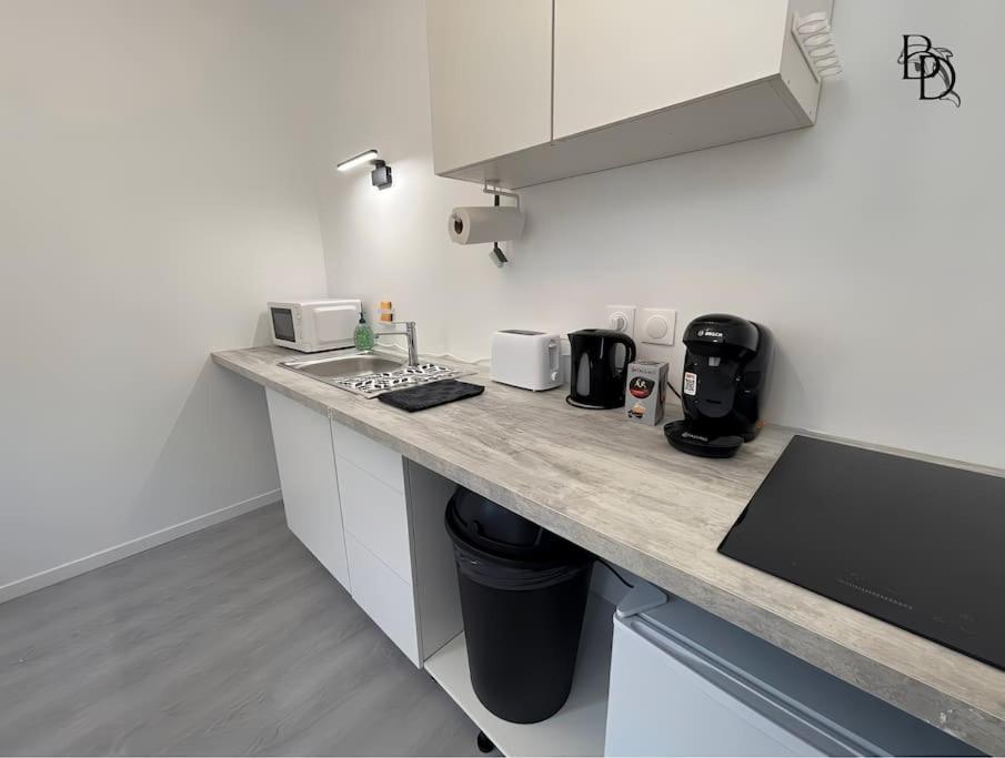 T1 Bis Appartement B3 30M2 Cosy 7Min A Pieds Des Gares Roanne Eksteriør billede