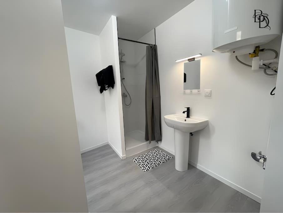 T1 Bis Appartement B3 30M2 Cosy 7Min A Pieds Des Gares Roanne Eksteriør billede