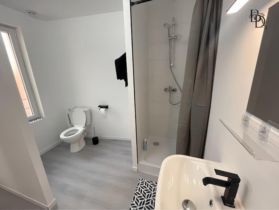T1 Bis Appartement B3 30M2 Cosy 7Min A Pieds Des Gares Roanne Eksteriør billede
